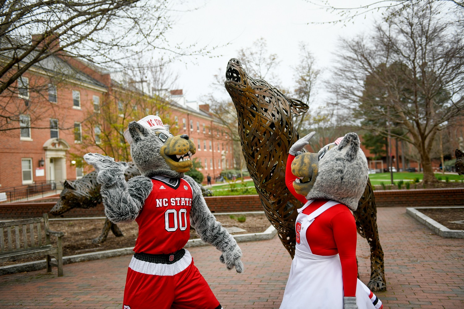 Mr. Wuf and Mrs. Wuf - Bonded by Paper Update 5 - Forest Biomaterials NC State University