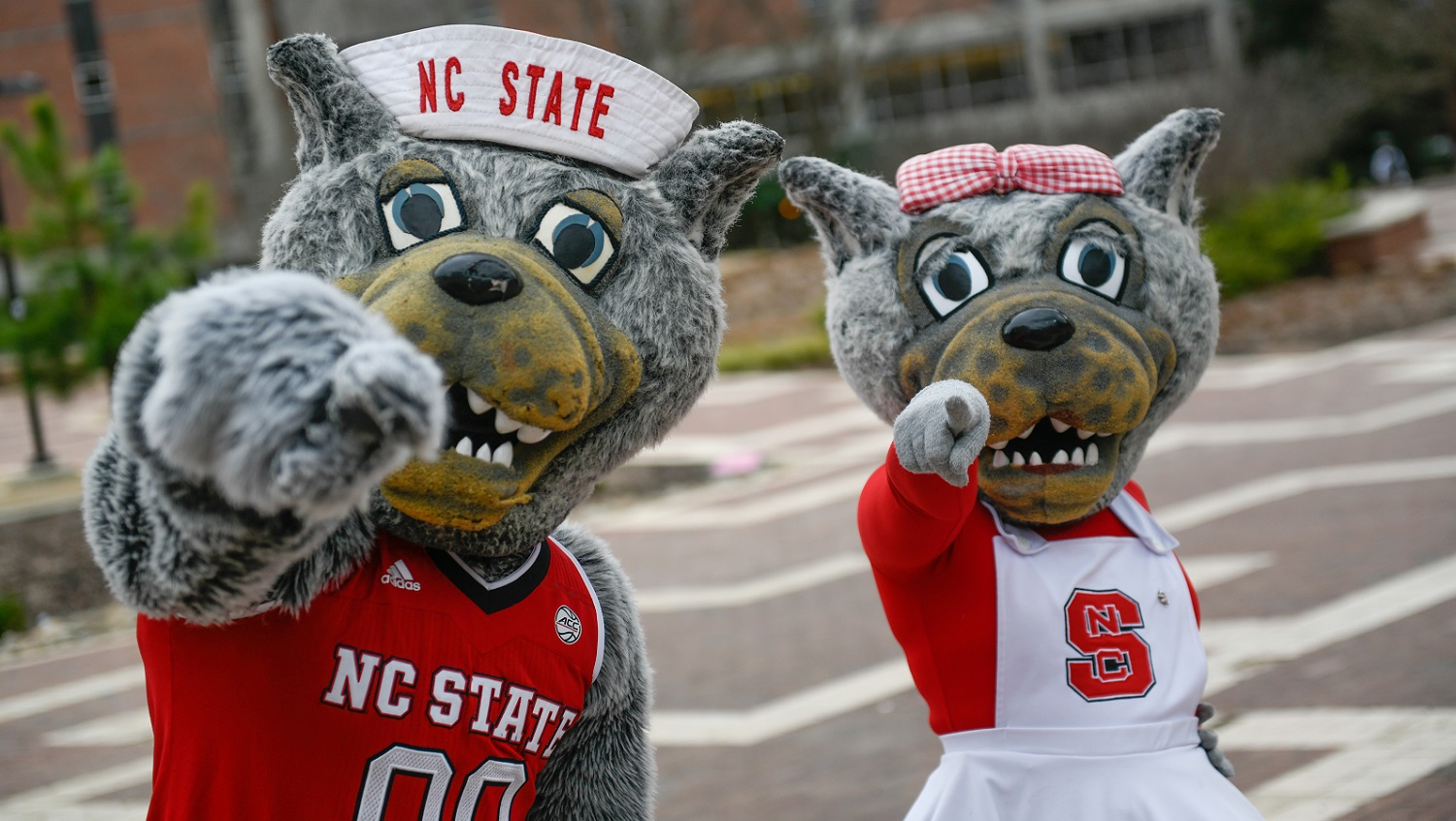Mr. and Mrs. Wuf - Bonded by Paper - Challenge Accepted - Forest Biomaterials NC State University