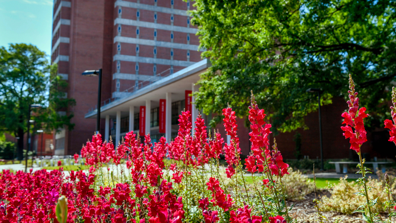 Flowers in front of building - Graduate Student Spotlight: Lisandra Chacon - Forest Biomaterials NC State University