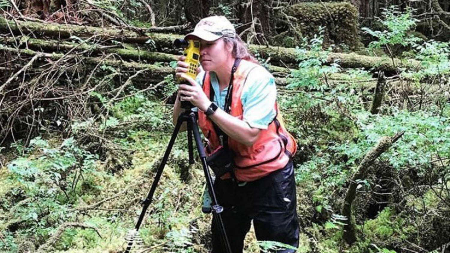 Working in the Forest - Alumni Spotlight: Dr. Priscilla Morris - Forest Biomaterials NC State University