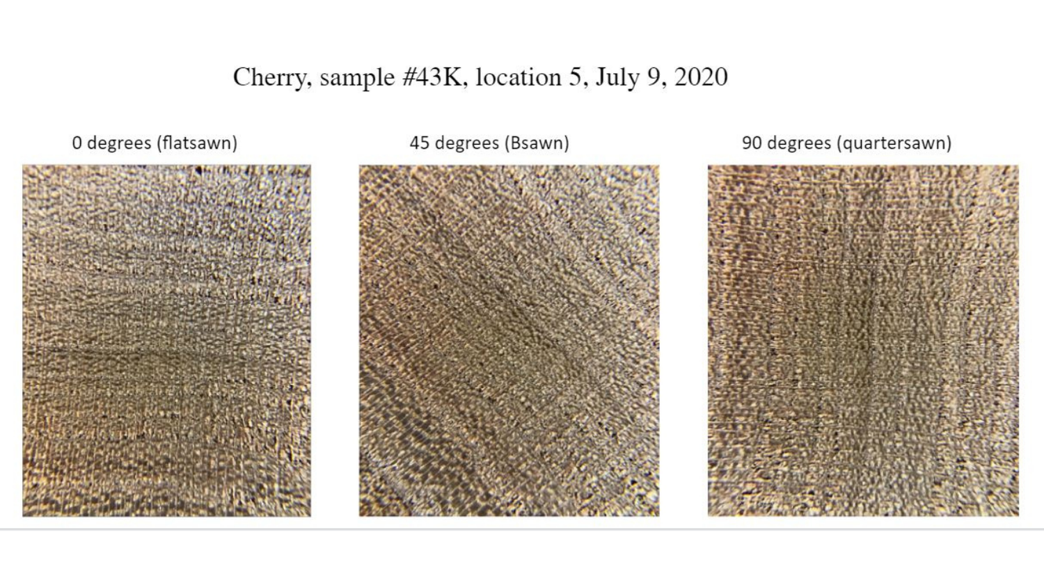 Cherry Sample - Machine Learning in Wood Identification - Forest Biomaterials NC State University