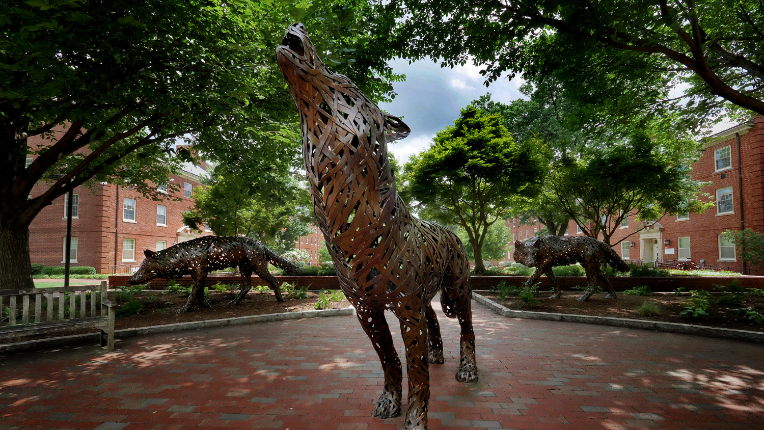 Wolf Statue - Newly Elected GSA Officers Promote DEIJ and Soft Skills for Graduate Students - Forest Biomaterials NC State University