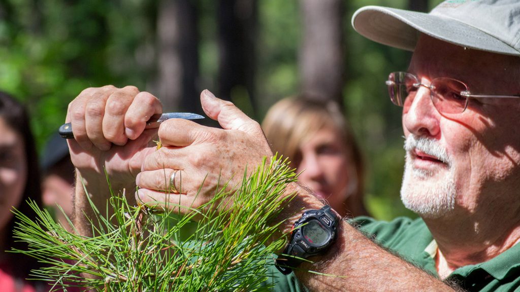 Tree demo - About - Forestry and Environmental Resources Spotlight: William Casola - Forestry and Environmental Resources NC State University