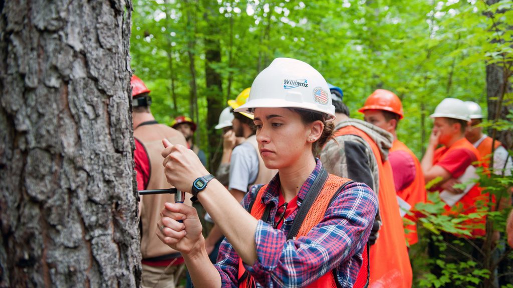 student in the field in the forest - About - Forestry and Environmental Resources Spotlight: William Casola - Forestry and Environmental Resources NC State University