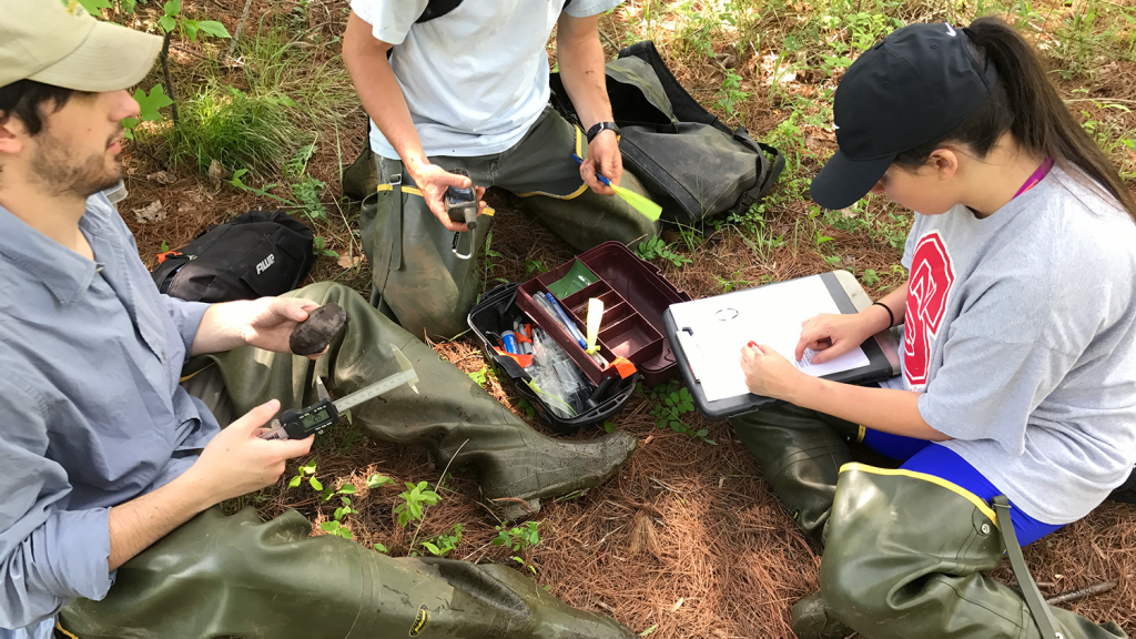 Doris Duke Group researching Bog Turtles - Doris Duke Conservation Scholars Program - Forestry and Environmental Resources Spotlight: William Casola - Forestry and Environmental Resources NC State University