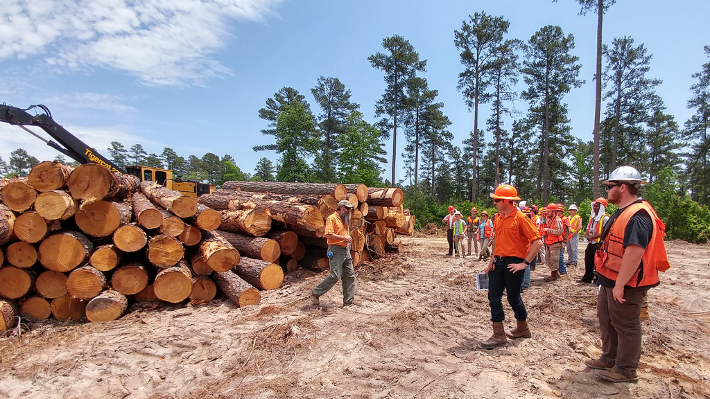 Summer Camp - Forestry Programs - Forestry and Environmental Resources Spotlight: William Casola - Forestry and Environmental Resources NC State University