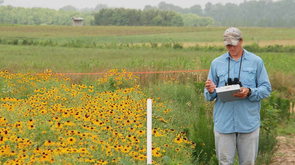 Grad student in the field - Fisheries, Wildlife, and Conservation Biology - Forestry and Environmental Resources Spotlight: William Casola - Forestry and Environmental Resources NC State University