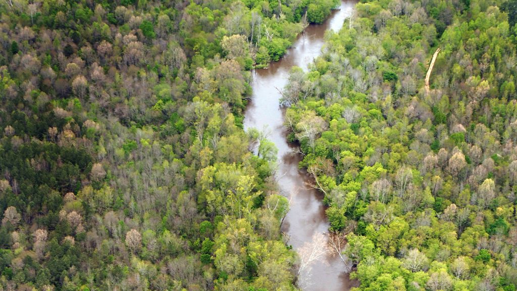 River - Natural Resources Economics and Policy - Forestry and Environmental Resources Spotlight: William Casola - Forestry and Environmental Resources NC State University