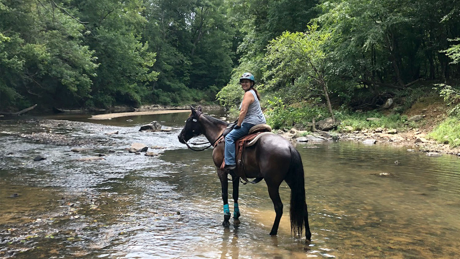 Horse Back Riding - Forests and Facilities - Forestry and Environmental Resources NC State University