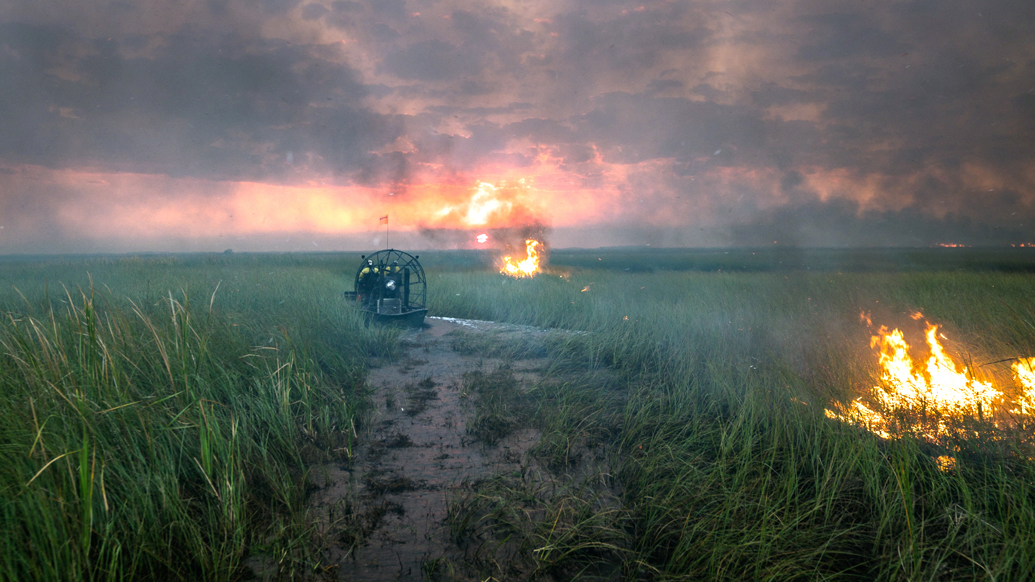 Airboat near fire in Everglades National Park - Custom Geospatial Tool Helps National Park Service Better Predict Fire Risk on Florida's River of Grass - Forestry and Environmental Resources NC State University