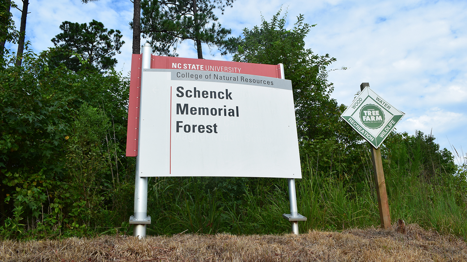 Schenck Forest - A Forest Runs Through It -Forestry and Environmental Resources NC State University