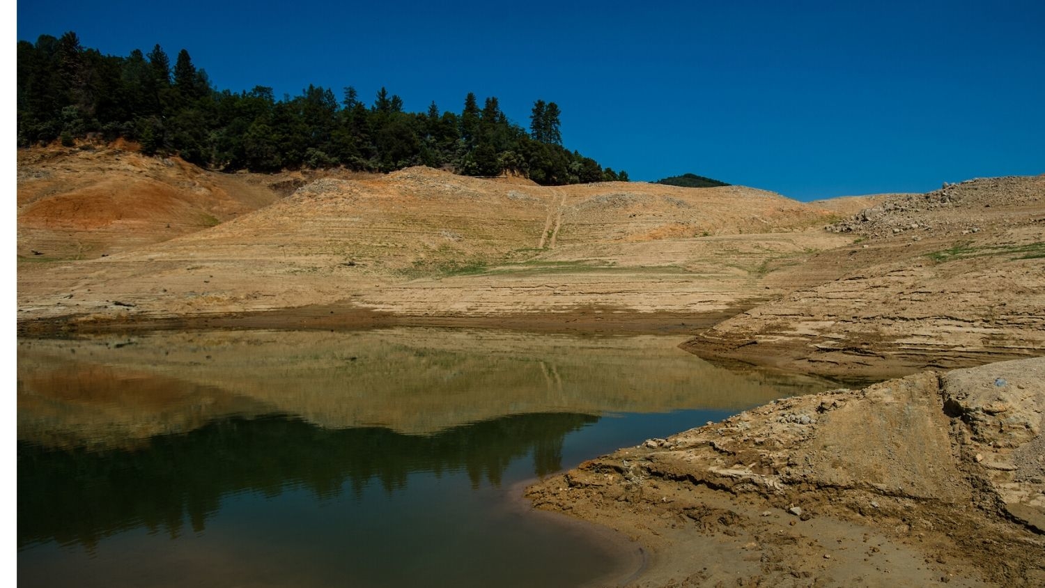 Shasta Lake during a drought in California - How A Historic Drought Led to Higher Power Costs and Emissions - Forestry and Environmental Resources NC State University