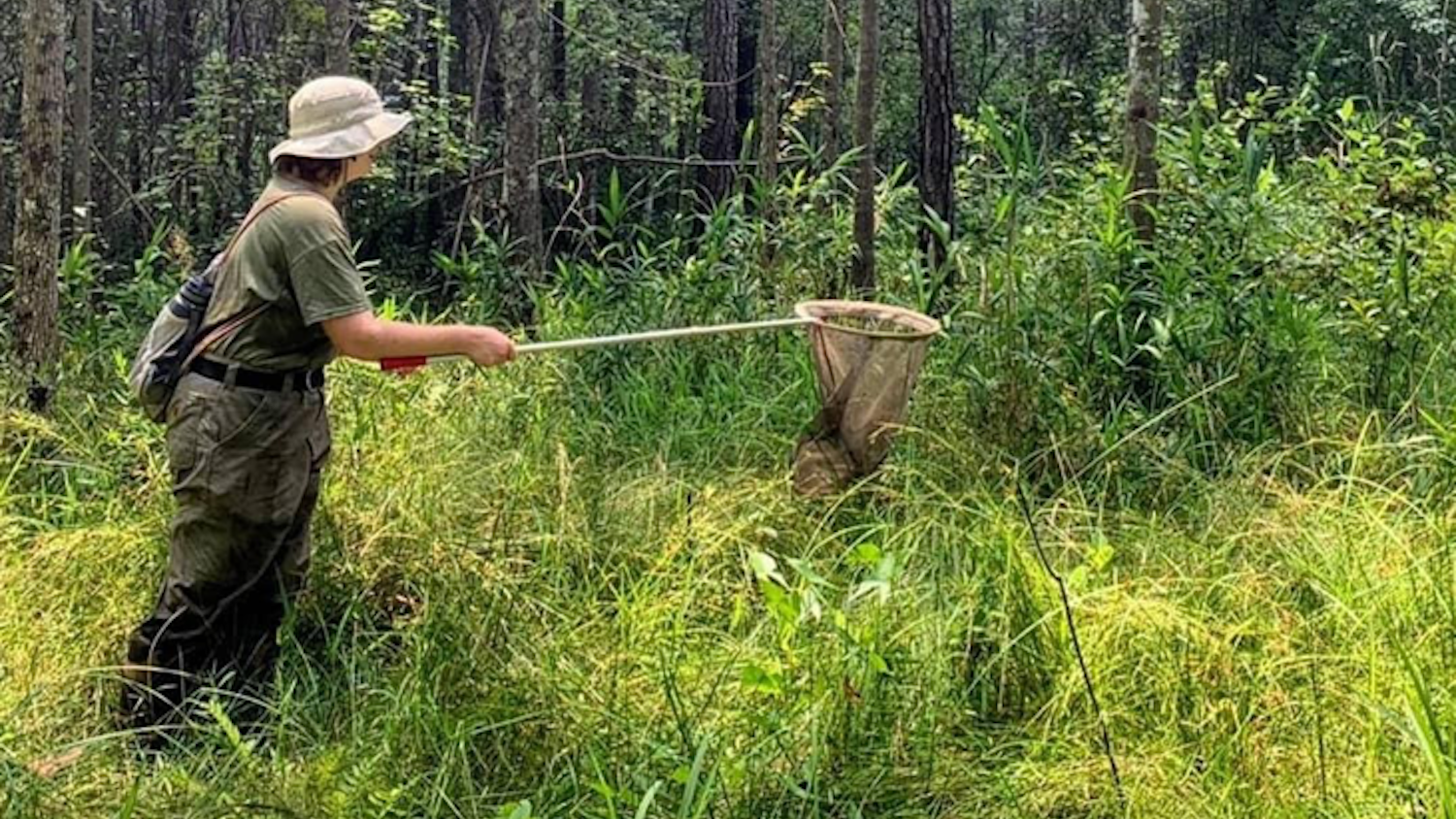 Student with a Net Outdoors - Emma Wilson: St. Francis' Satyr Field Technician - Forestry and Environmental Resources NC State University