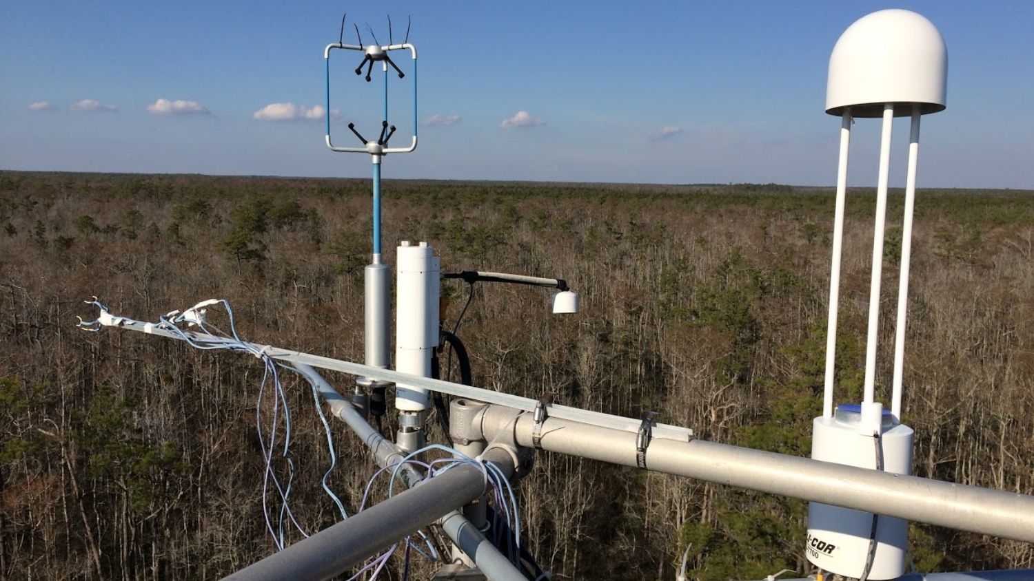 Meteorological sensors above a forest - How Coastal Forests Are Managed Can Impact Water Cycle - Forestry and Environmental Resources NC State University