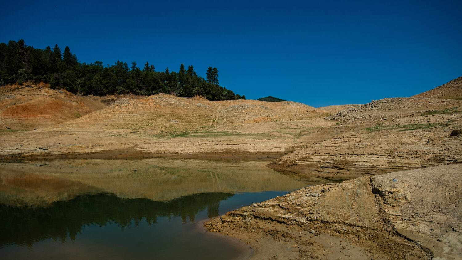 Shasta Lake during a drought in California. - Climate Change Could Lead to Blackouts, Higher Power Costs on West Coast - Forestry and Environmental Resources NC State University