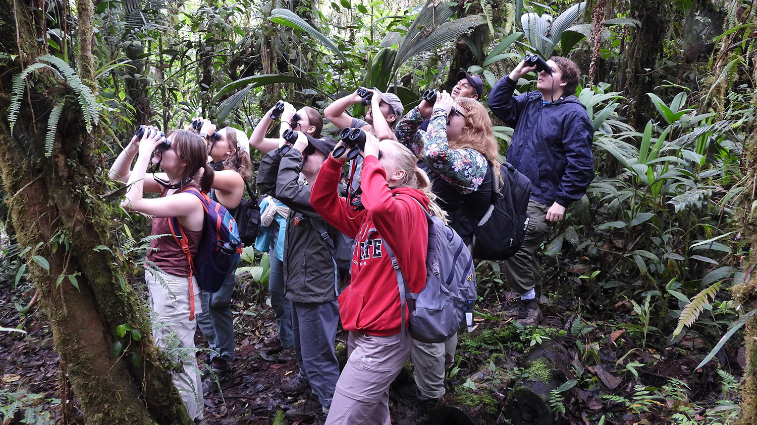 A group of NC State students in the Amazon rainforest - From the Andes to the Amazon - College of Natural Resources News - NC State University