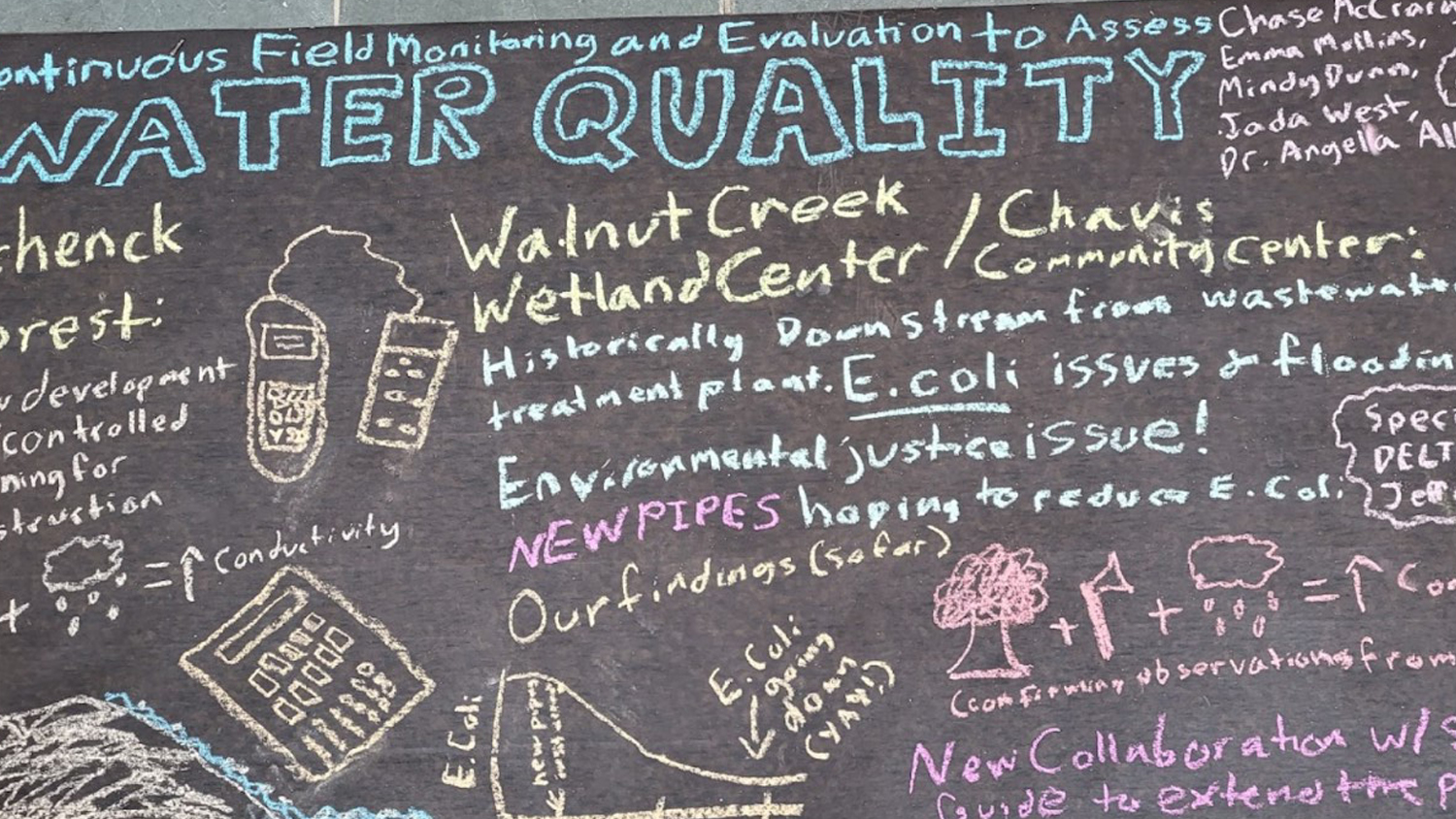 Water quality information written in chalk - Student Profile: Jada West - Forestry and Environmental Resources NC State University