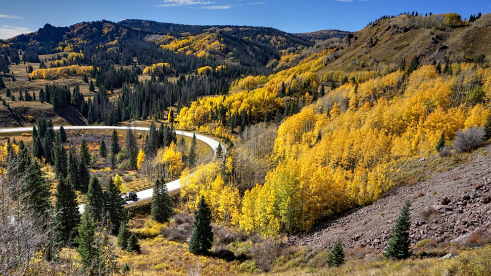 a scenic drive through forests with golden autumn color