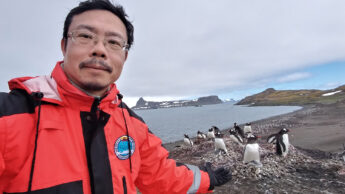 Dr. Yu-Fai Leung standing near a group of Gentoo penguins.