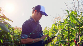 a grower collects data in an agricultural field