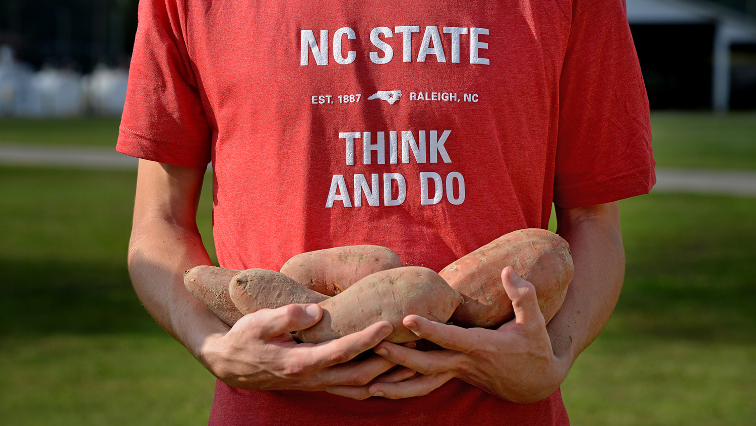 CALS student and sweet potatoes.