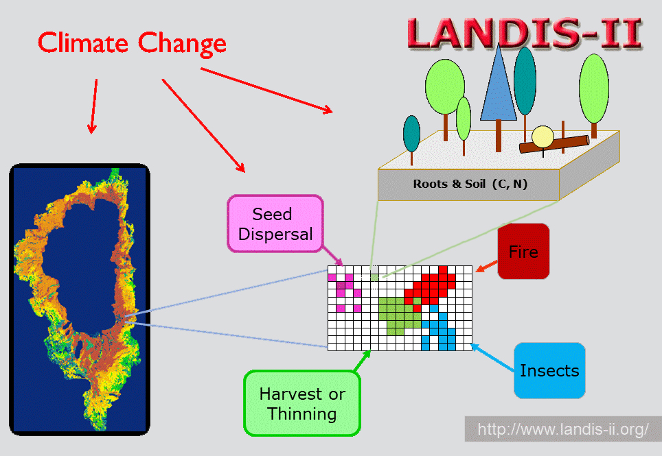 schematic for LANDIS-II