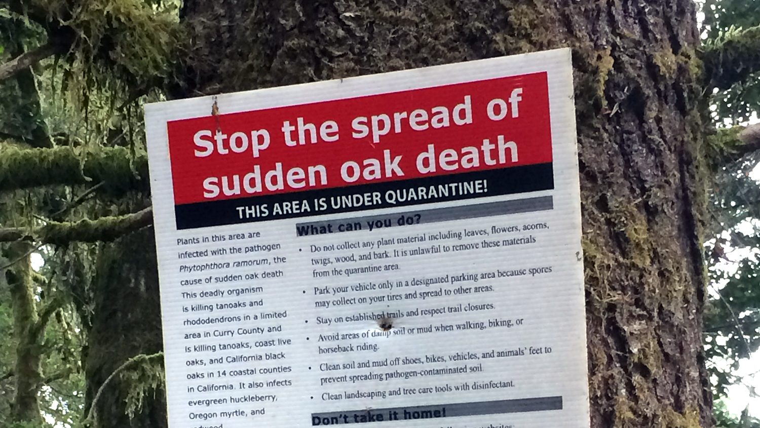 a sign with guidelines for stopping the spread of sudden oak death disease