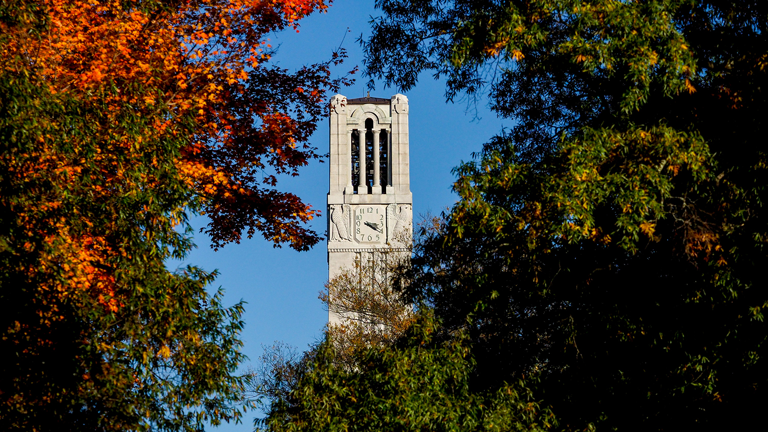 Belltower - Center for Geospatial Analytics at NC State University