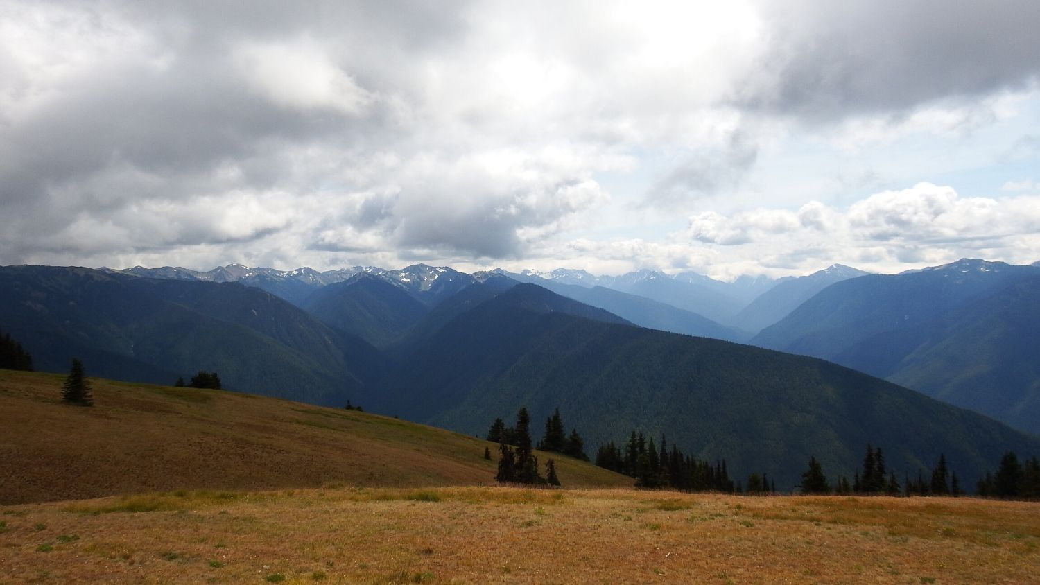Which North Carolina State Park are you?, College of Natural Resources, Mt. Rainier - 1