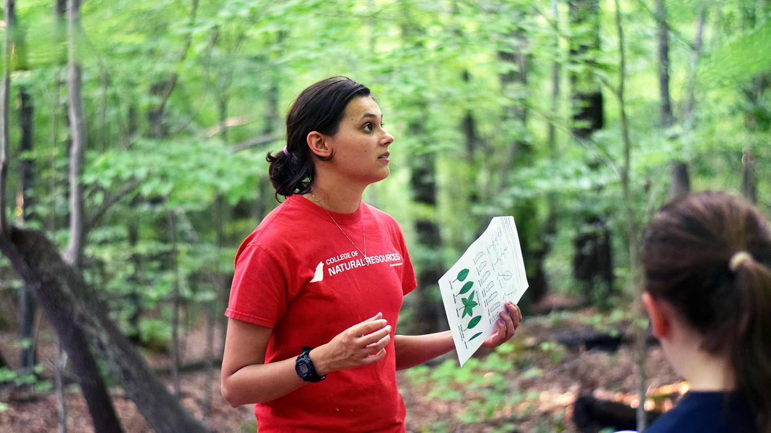Sylvia Weir at Schenck Forest for Girl Scout Merit Badge Day