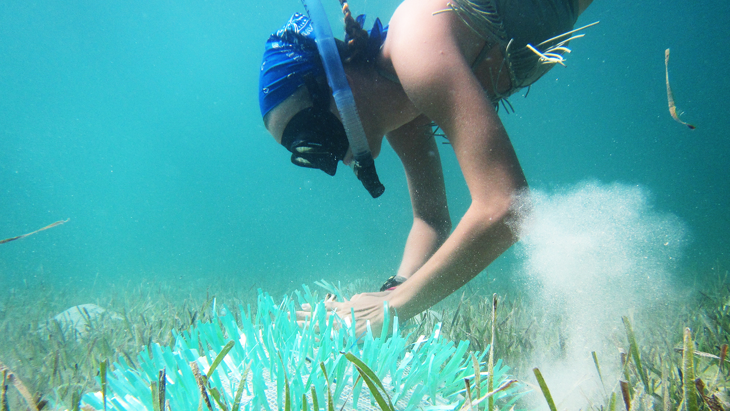 Elisabeth Frasch conducts undergraduate research in The Bahamas