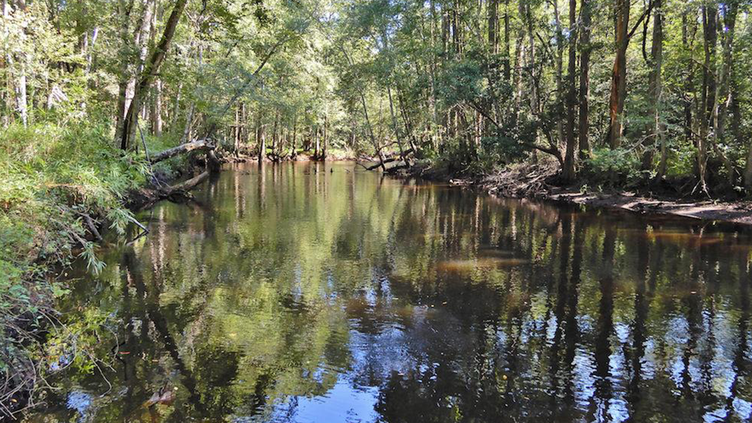 Lumber River