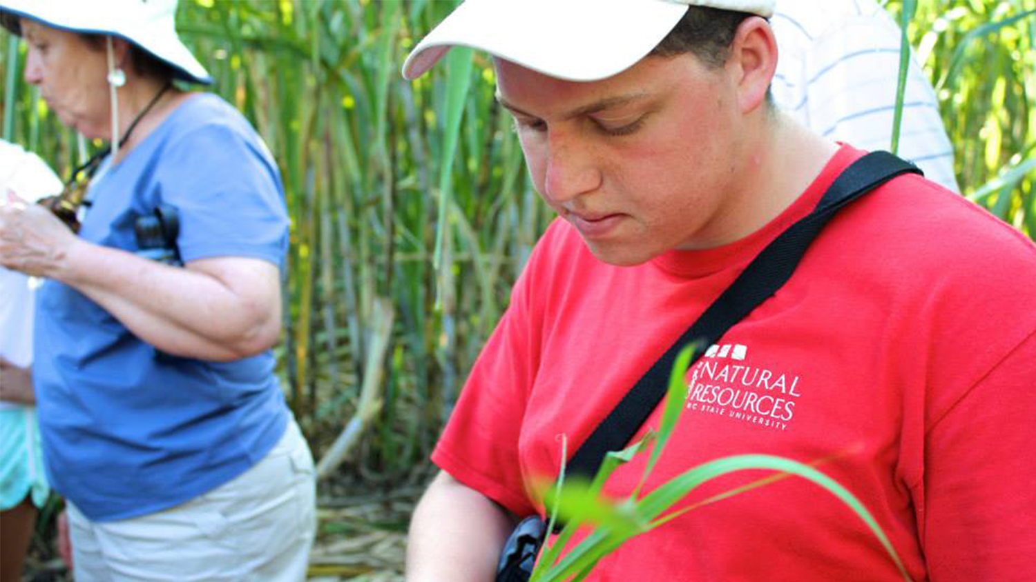 Forest Management Alumnus Thomas Harris