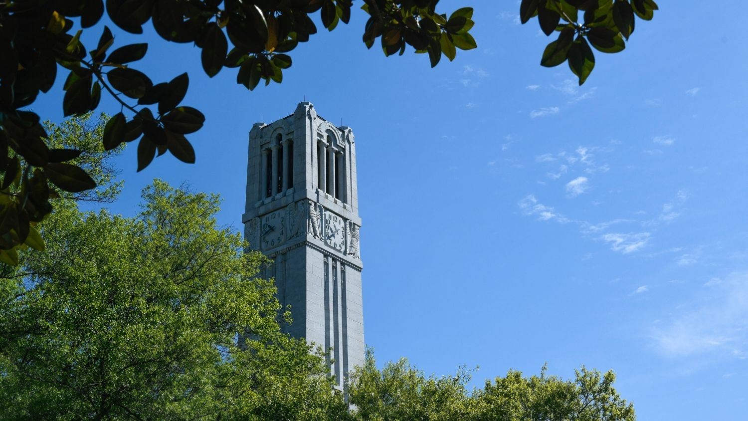 Belltower and trees - Researchers Discover a Tree That Hugs You Back - College of Natural Resources News NC State University