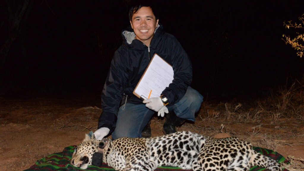 Matt Snider - Big Cats in the Backyard - College of Natural Resources News - NC State University