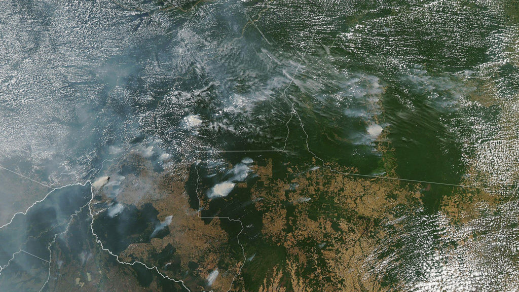 Satellite Image of Amazon Wildfires - Amazon Rainforest Fires: Everything You Need to Know - College of Natural Resources News - NC State University
