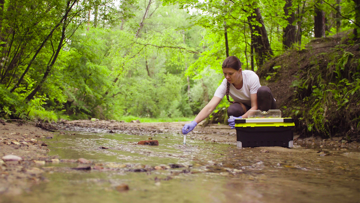 woman collects samples at stream