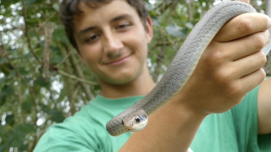 Ben Zino, College of Natural Resources