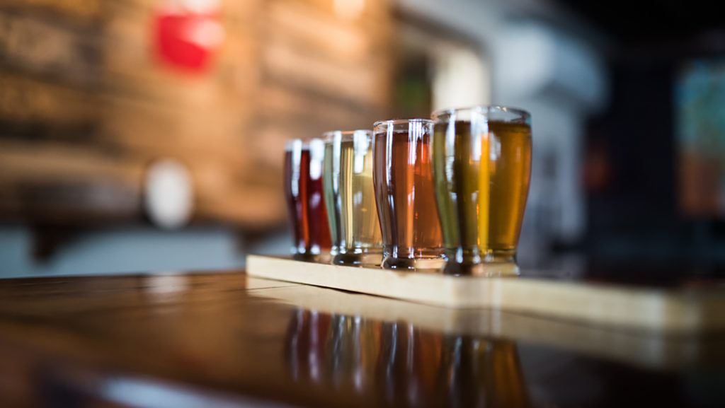 Urban Orchard Cider flight - Zachary Miller - College of Natural Resources