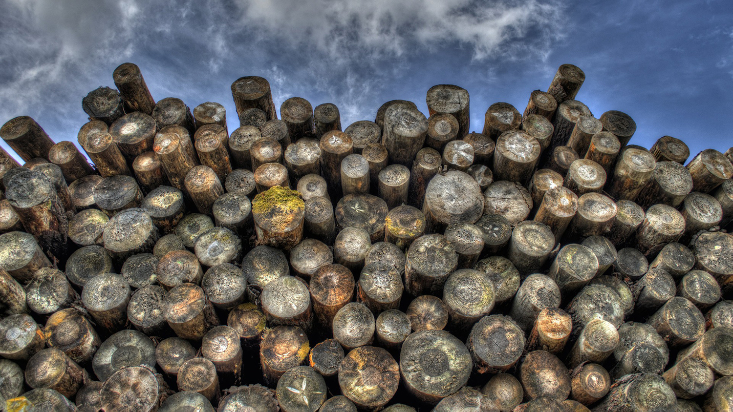 Stack of lumber