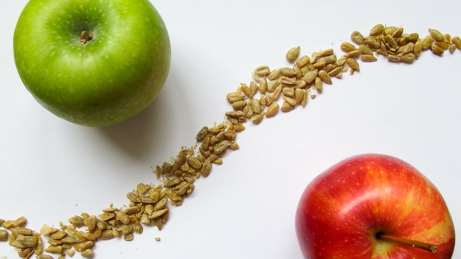 Which NC bird are you?, College of Natural Resources, Apples and sunflower seeds, courtesy Lauren McLaughlin - 1