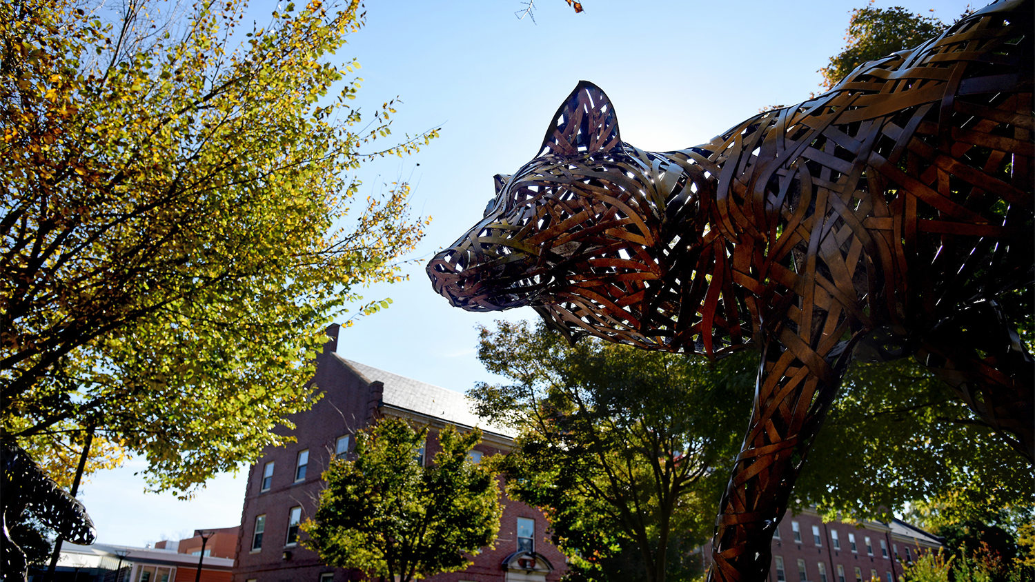 NC State wolf statue - Parks, Recreation and Tourism Management Recognized as Leader in Outdoor Recreation - College of Natural Resources News NC State University