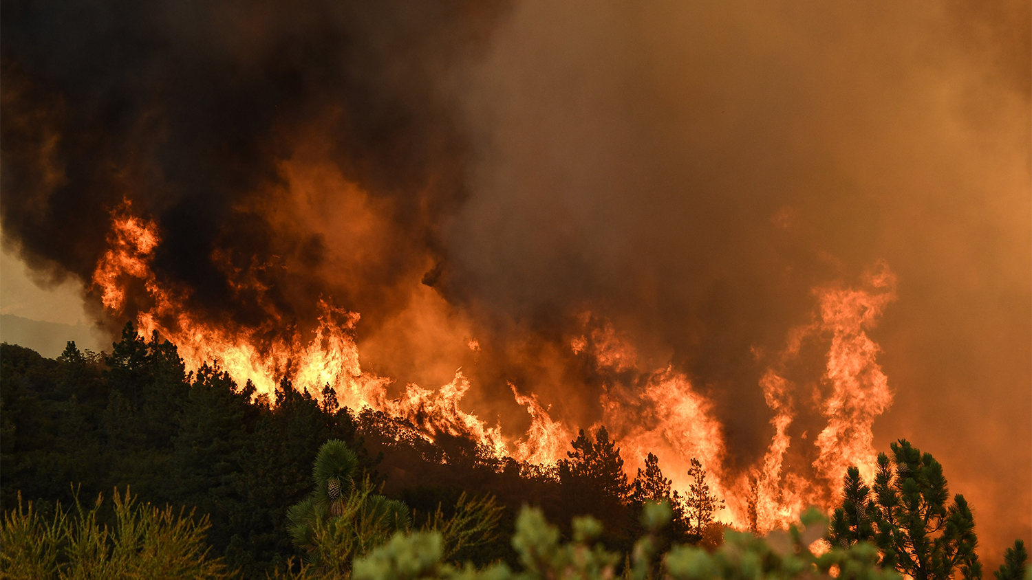 burning wildfire - Wildfire Smoke Causes Unhealthy Air Quality Across the West - College of Natural Resources News NC State University