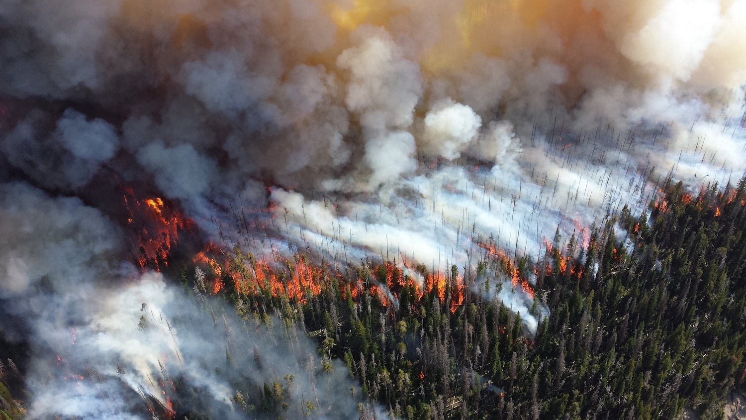 Climate Change Could Increase Risk of Wildfires 50% by Century's