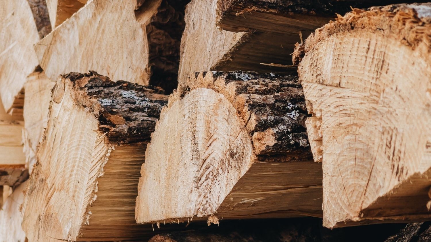 Stack of wooden logs, lumber - Biomass: A Sustainable Energy Source for the Future? - College of Natural Resources News NC State University