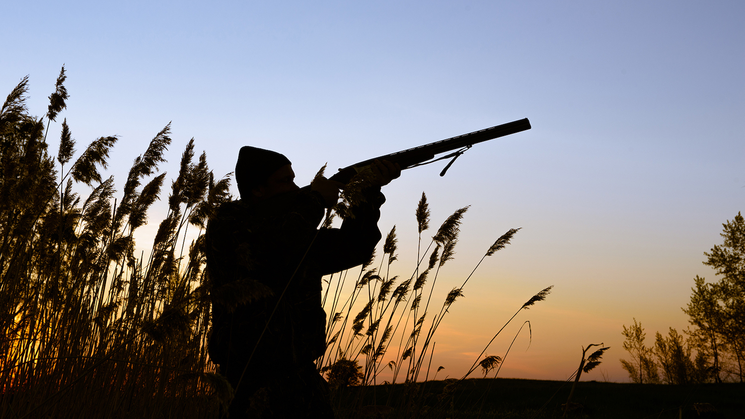 Decline in Hunting Threatens Conservation Funding