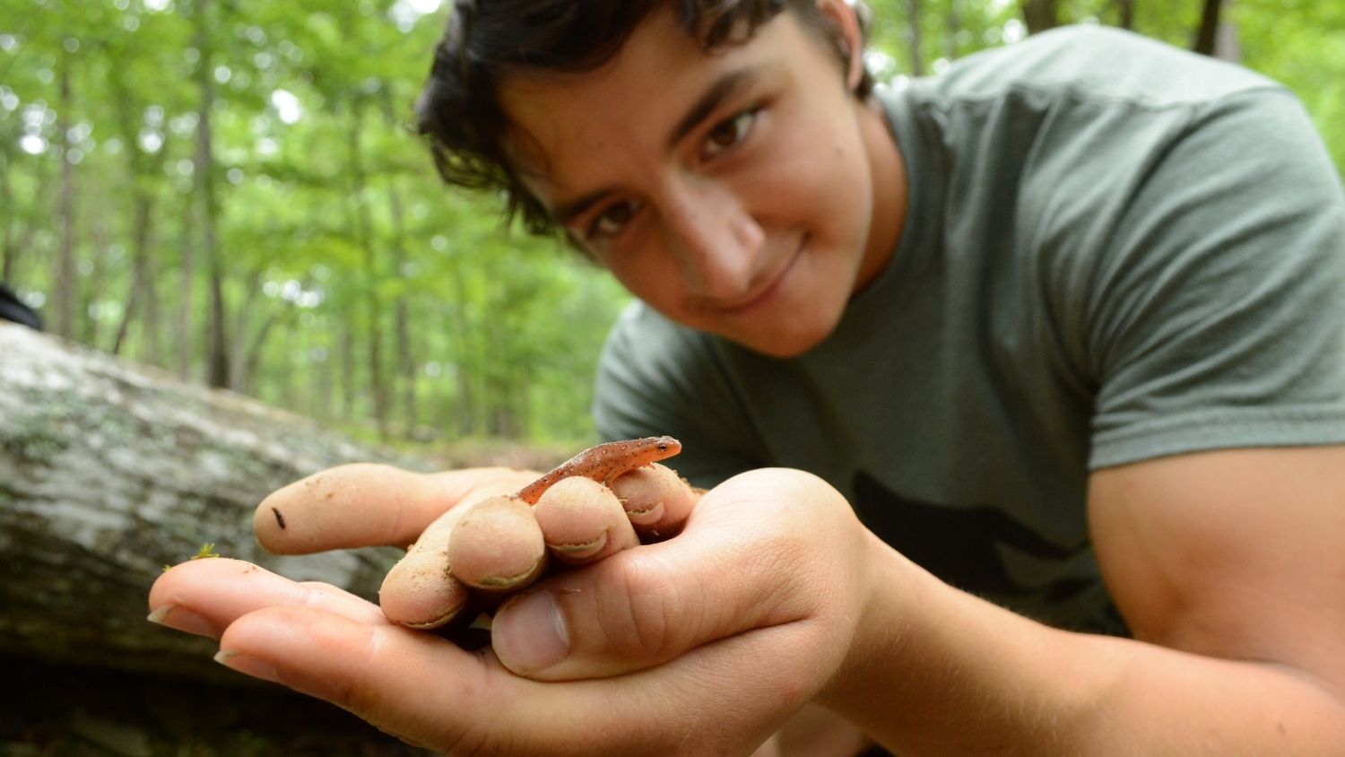 Ben Zino - Ben Zino is Promoting Wildlife Conservation One Video at a Time - College of Natural Resources News NC State University