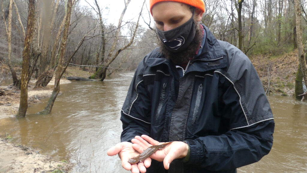 Eric Teitsworth, a graduate student in the Department of Forestry and Environmental Resources at NC State, holds a Neuse River Waterdog.