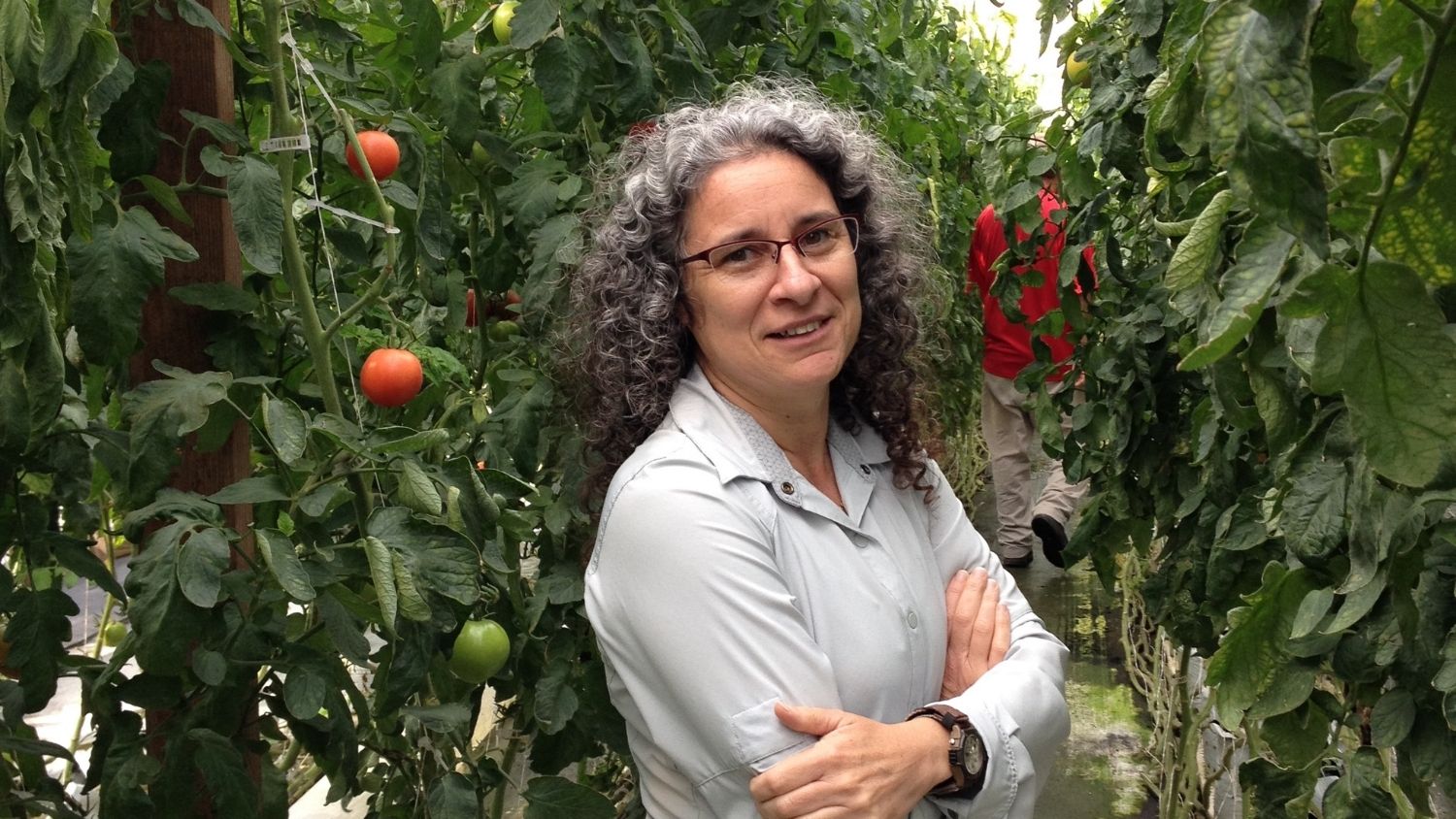Professor Carla Barbieri is Supporting Small Farms through Agritourism, College of Natural Resources, Carla Barbieri at The Vollmer Farm in NC, feature