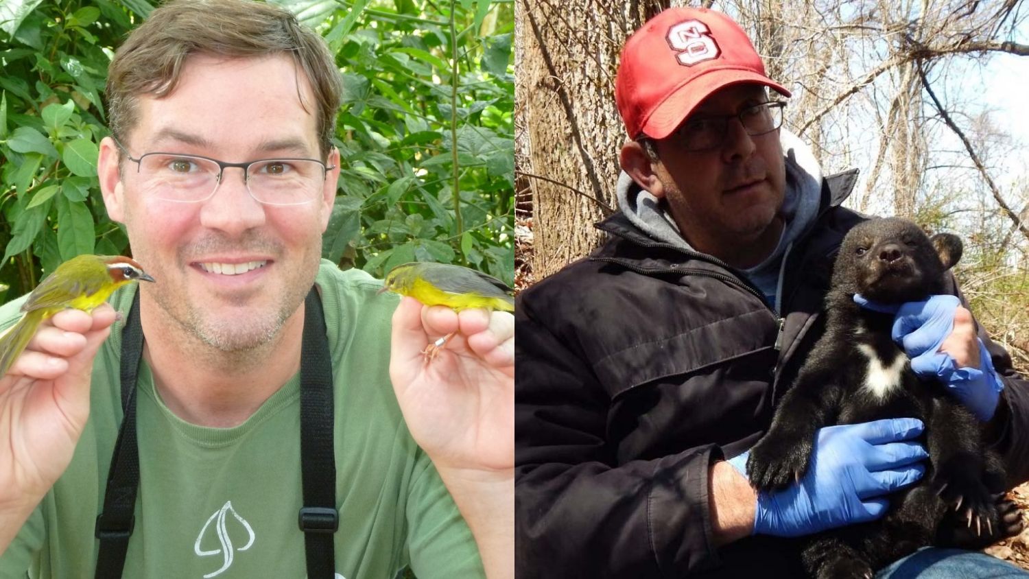 Professors with Wildlife - 2 Professors Named Fellow of The Wildlife Society - College of Natural Resources News NC State University